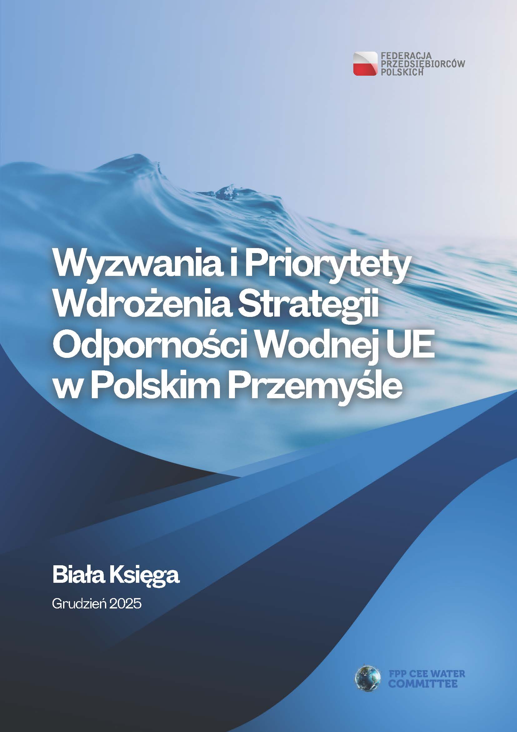 Biała Księga Wyzwań i Priorytetów Wdrożenia Strategii Odporności Wodnej UE w polskim przemyśle