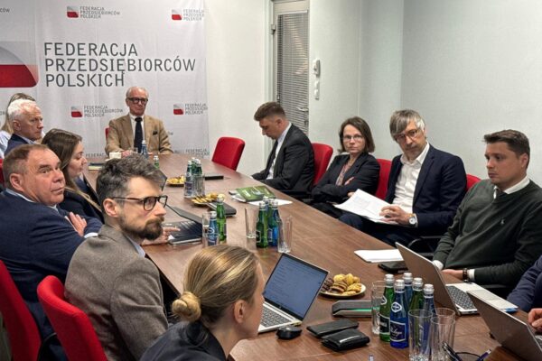 Bezpieczeństwo gospodarcze Europy a rewizja systemu EU ETS