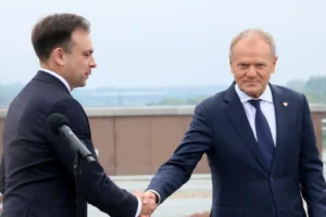 Zdjęcie 1 z 1: rzad